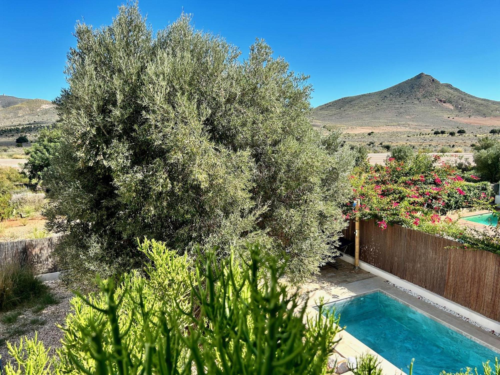 Villa Filon Rodalquilar Ngoại thất bức ảnh