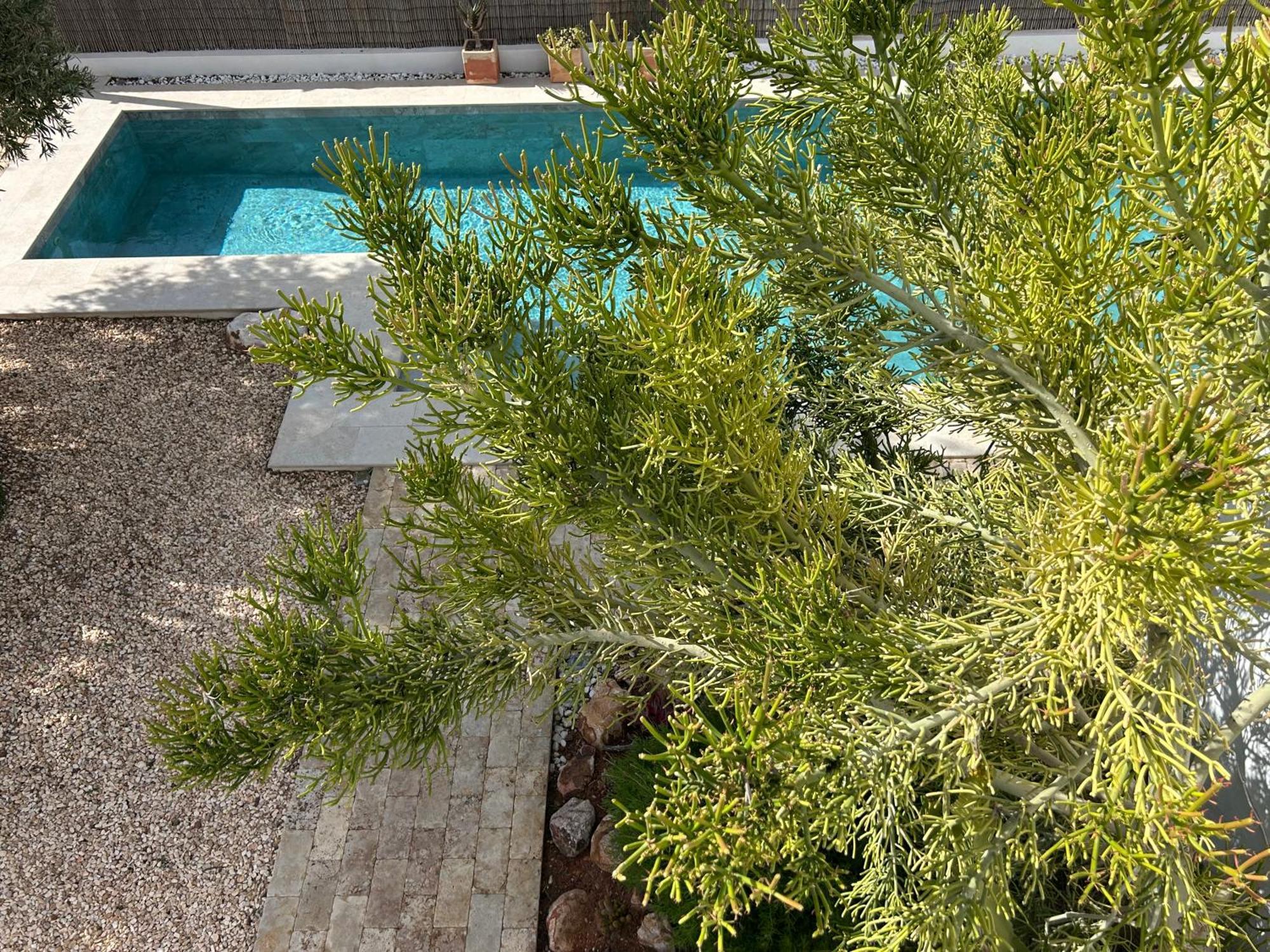 Villa Filon Rodalquilar Ngoại thất bức ảnh